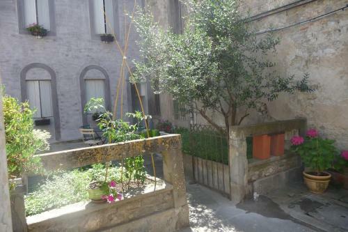 Le Patio Cathare