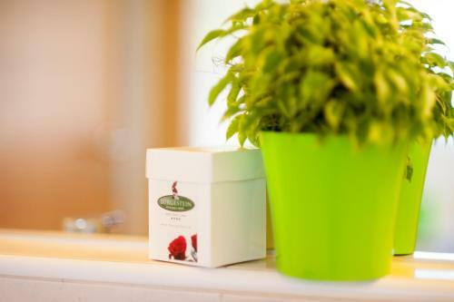 Hotel B�rglstein