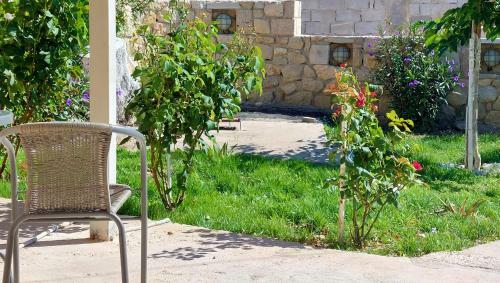 Guest House Tsanes