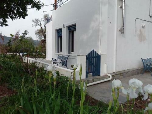 ?halassa Home Fine Living