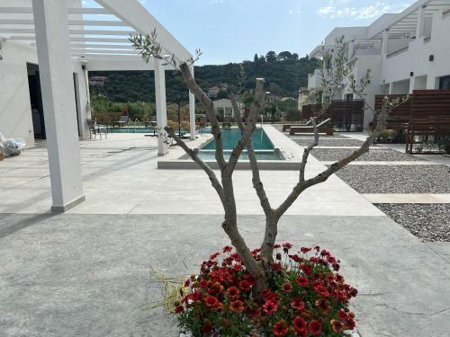 Nobu Hotel Tsilivi