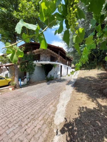 Villa Stone House 2