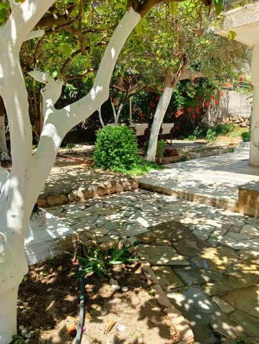 Apartamento Evita
