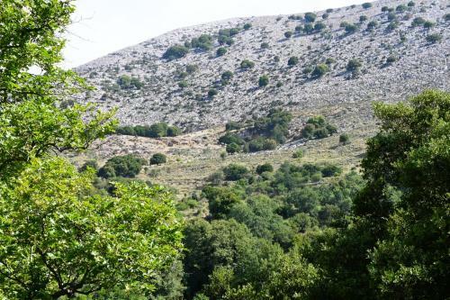 Maria's Mountain Home