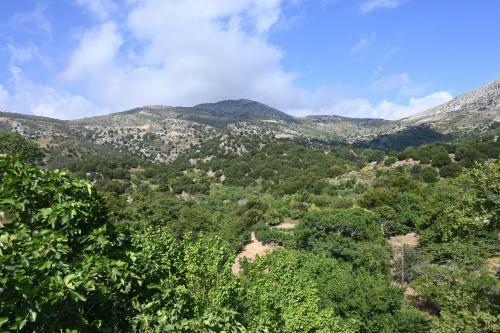 Maria's Mountain Home