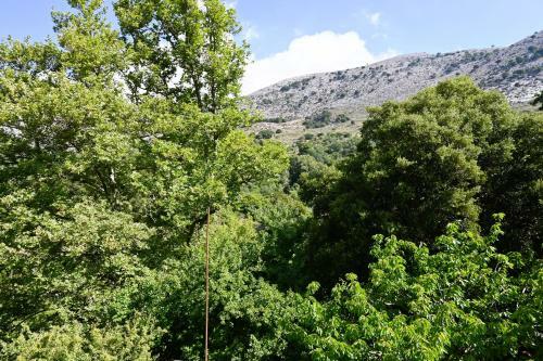 Maria's Mountain Home