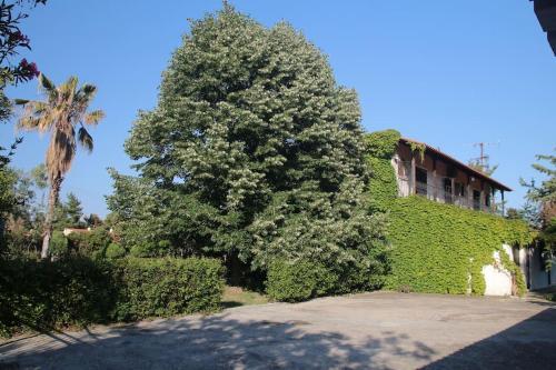 Casavita 1