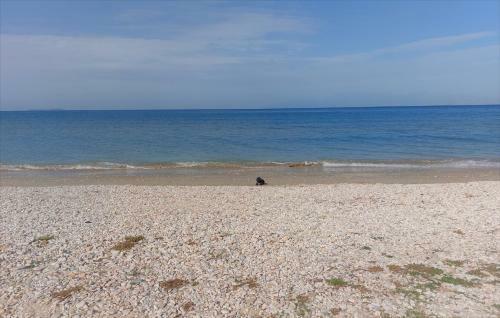 Apartamento Nikitas Maisonette
