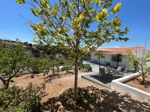 Villa Oceanus Summer House