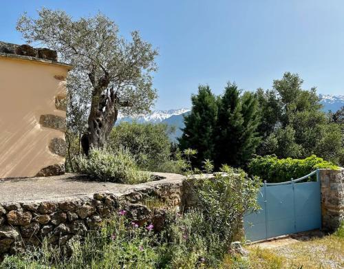 Maison Th�ia, Entre Mer Et Montagne Samonas