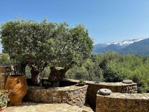 Maison Th�ia, Entre Mer Et Montagne Samonas