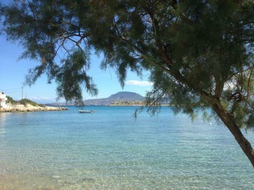 Maison Th�ia, Entre Mer Et Montagne Samonas