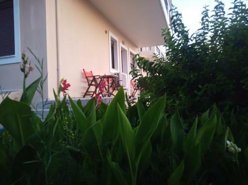 Aktaion Apartments