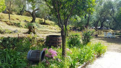 Apartamento Eleonas-olive Grove Traditional Holiday Appartment