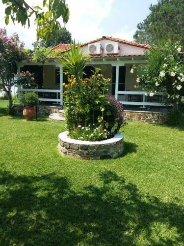 Apartamento Nina Studios
