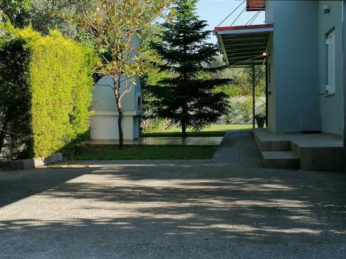 Villaellea