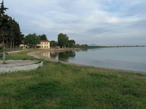 Villaellea