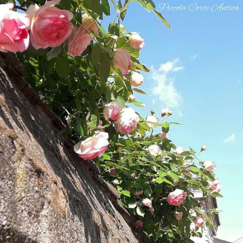 Bed & Breakfast Piccola Corte Antica