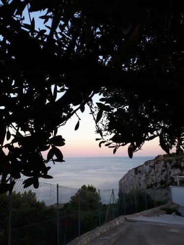 Villa Rosa Con Esclusiva Vista Sul Mare