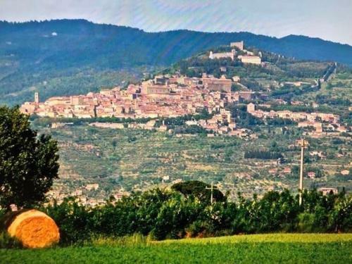 Apartamento Casa Cara Mia