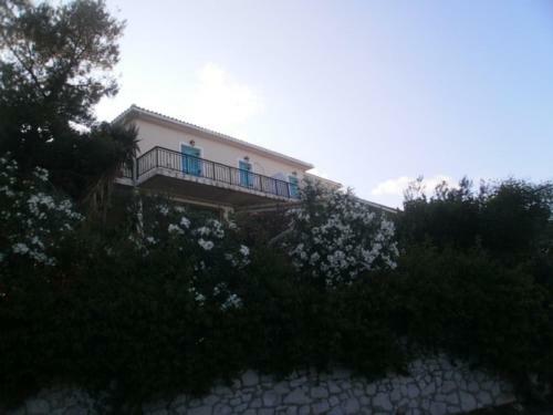 Alpha Apartments