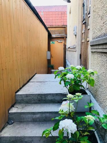 Bed & Breakfast Wisby Residence