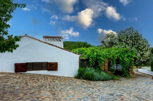 Monte Vale S�o Mamede