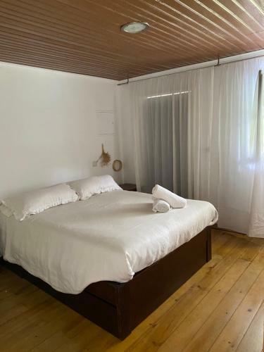 Casa Dos Av�s