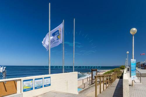Apartamento Praia Paim�