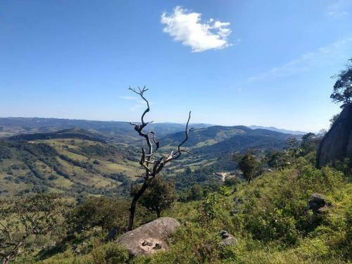 Canto Dos Pirilampos