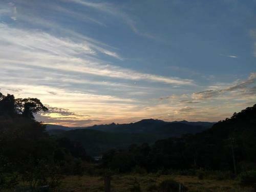 Canto Dos Pirilampos