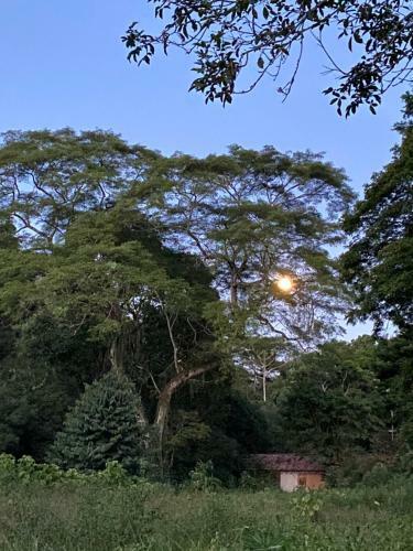 Recanto Da Floresta - Casa de Campo Em Secret�rio