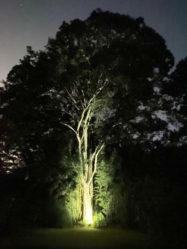 Recanto Da Floresta - Casa de Campo Em Secret�rio