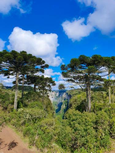 Su�te Canyons Do Brasil