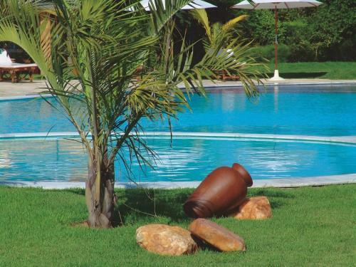 Villa 3 Master Luxo Vista Mar C Jacuzzi-praia Pipa