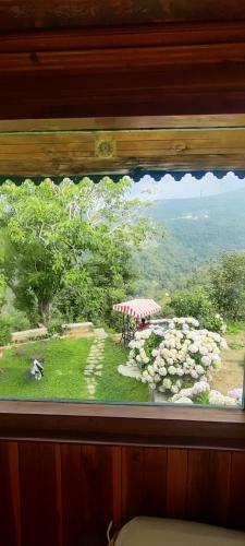 Oak Hill Homestay