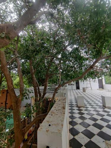 Villa Green Hub Pushkar