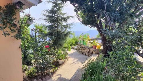 Siya Ram Vatika Pure Vegetarian Homestay