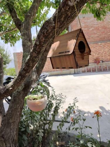 Siya Ram Vatika Pure Vegetarian Homestay
