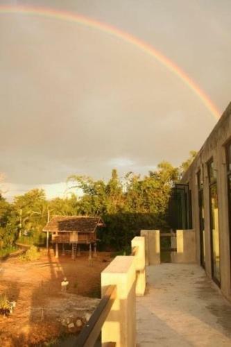 Starry Night Hostel