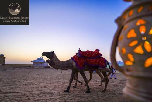 Hotel Desert Boutique Resort