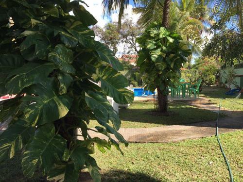 Priv� Portal Do Sol