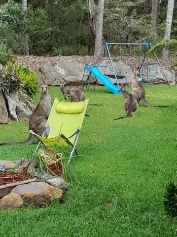 Oasis In The Bush