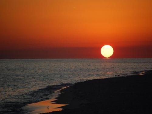 Apartamento The Pearl Of Navarre #204