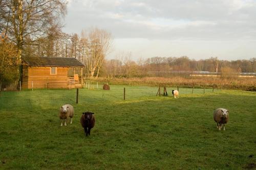 Hotel Vakantie Meerlo