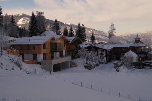 Chalet Alm Planai
