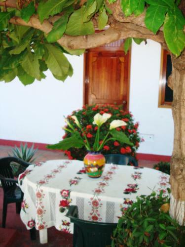 Hotel Yurimar