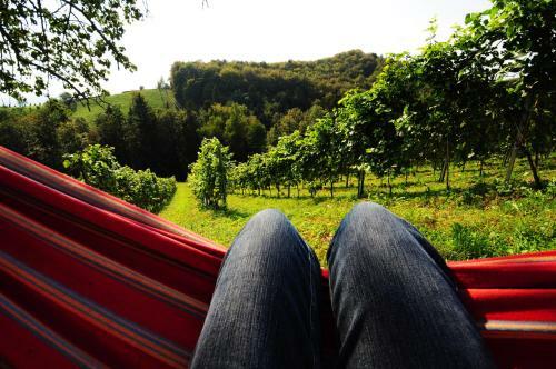 Hotel Weingut Winzerzimmer Rothsch�dl