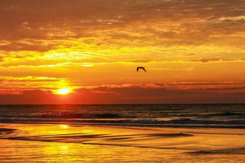 Le Starboard House By Pensacola Beach Properties