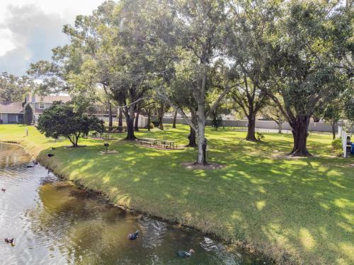 Zen Holistic Retreat By Carrollwood/westchase